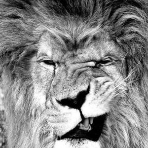 Meet your Posher, Peter